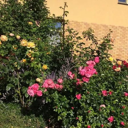 Apartamento Atostogauti Gera *