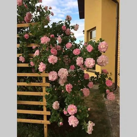 Lejlighed Atostogauti Gera *