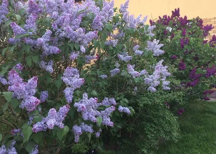 Atostogauti Gera Apartment *