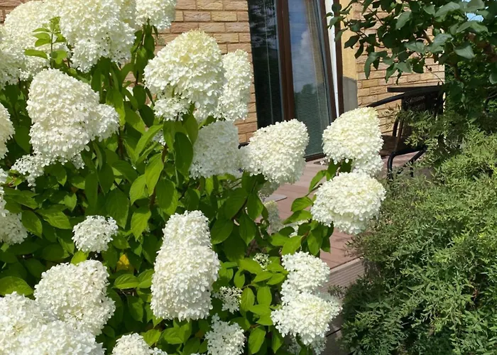 Atostogauti Gera Apartment Palanga